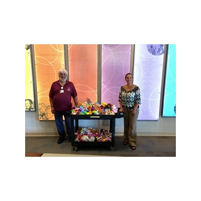 Volunteer Spotlight: Halisha's Toy Chest