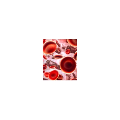 Platelets Do More than Help Blood Clot – Just Ask the Immune System