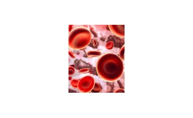 Platelets Do More than Help Blood Clot – Just Ask the Immune System