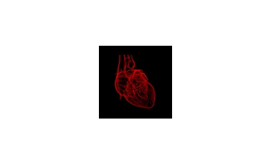 Study: A “Slick” Gene Helps Protect the Heart