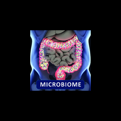 What’s in Your Gut? Bacteria Might Impact Response to Cancer Therapy