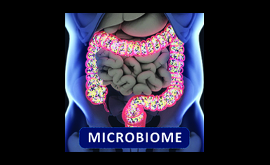 What’s in Your Gut? Bacteria Might Impact Response to Cancer Therapy