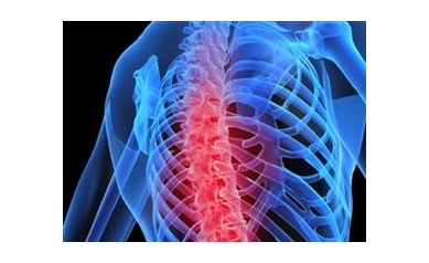 Experimental Approach May Reverse Rheumatoid Arthritis and Osteoporosis
