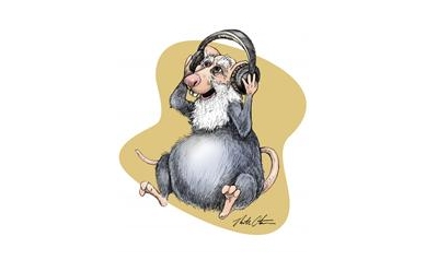 Squeak, Squeak – Can You Hear Me Now?