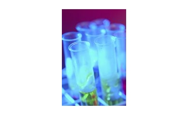 Wilmot Obtains Nearly $2M in Cancer Stem Cell Funding