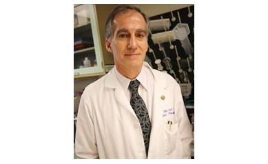 Scientists Pinpoint Earliest Steps of Common Form of Muscular Dystrophy