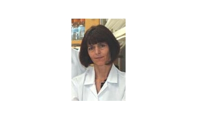 Pre-Conception and Early Pregnancy Iron Deficiency Harms Brain