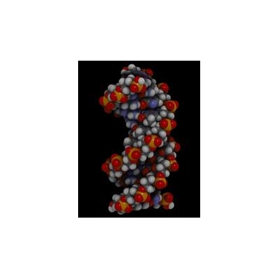 Scientists to Gather for 23rd Annual Genetics Day