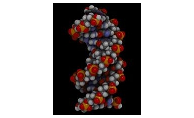 Scientists to Gather for 23rd Annual Genetics Day