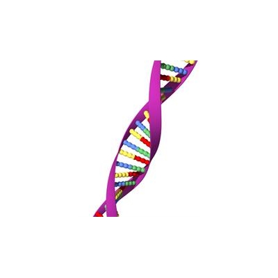 DNA_3226_725x932