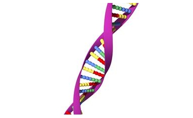 Changing Genetic ‘Red Light’ to Green Holds Promise for Treating Disease