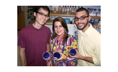 Microbiologists Discover How Cavity-Causing Microbes Invade Heart