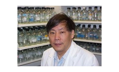 Capability of Curry Component to Treat Disease Merits U.S. Patent