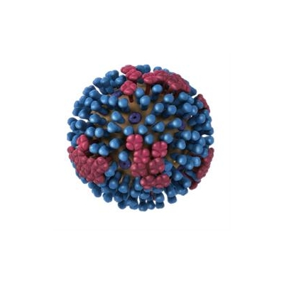 Volunteers Needed for Two Flu Vaccine Studies