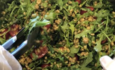 Farro, Cherry Tomato and Arugula Salad