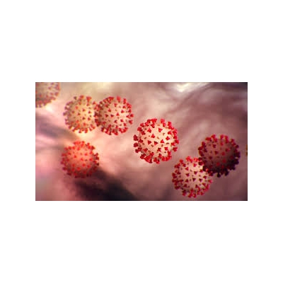 Eastman Institute for Oral Health Leads Global Discussion on COVID 19 May 12