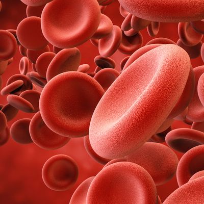 Blood_Cells