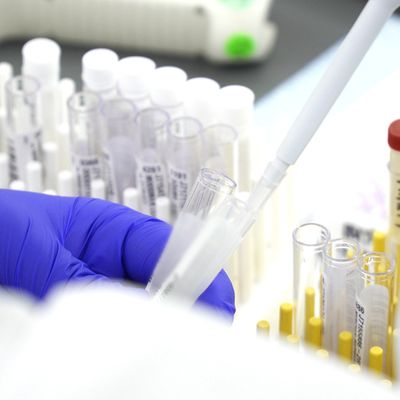 Lab Photo