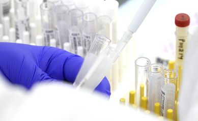 Lab Photo