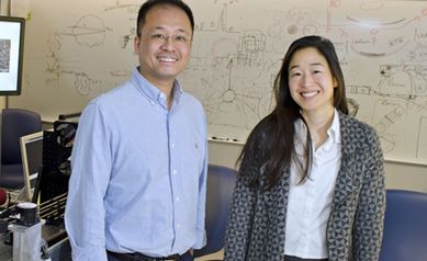 Mina Chung, Retinal Surgeon and Researcher, Dies at 51