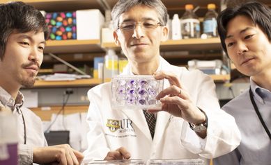Investigators Look to a Better Future for Patients with Bladder Cancer