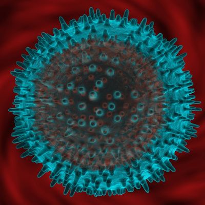 Cells Sacrifice Themselves to Boost Immune Response to Viruses
