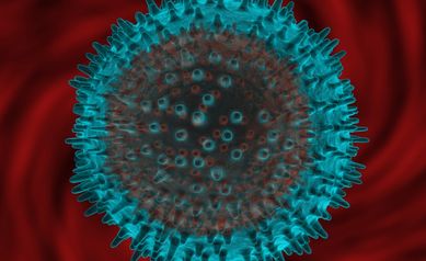Cells Sacrifice Themselves to Boost Immune Response to Viruses