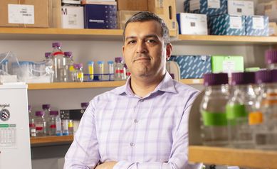 Fresh Faces, New Energy: Stephano Mello, Ph.D.