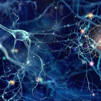 Fragile X Syndrome_Nerve Cells