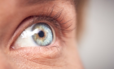 New Research Sheds Light on Vision Loss in Batten Disease