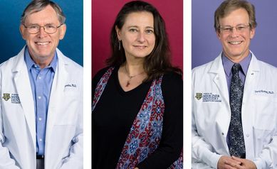 Past, Present, and Future Converge in Neuroscience Education