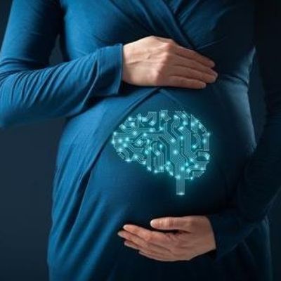 New Research Seeks to Understand Link Between Iron and Brain Development