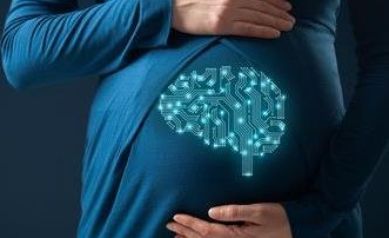 New Research Seeks to Understand Link Between Iron and Brain Development