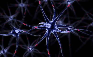 Multiple sclerosis drug improves memory in mice modeling Alzheimer’s disease 