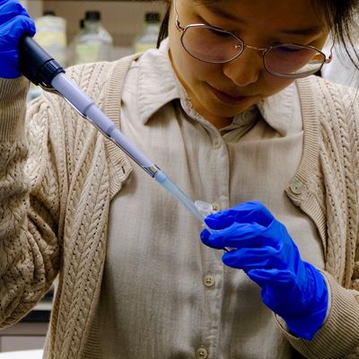 Yu Lab Member