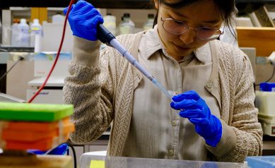 Yu Lab Member