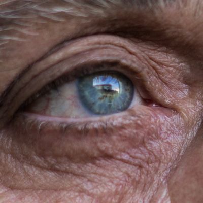 First-Ever Lab Model of Human Eye Offers Hope for Macular Degeneration Patients