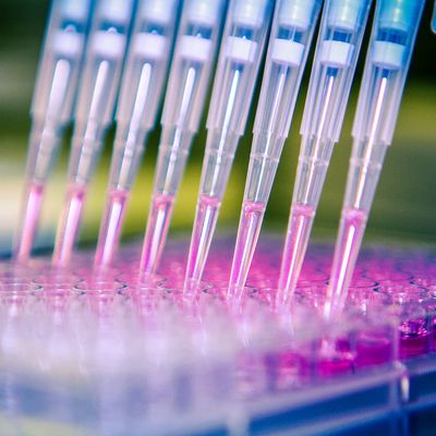 Deerfield and Empire Discovery Institute Partner to Advance Life Sciences R&D in Rochester, Buffalo