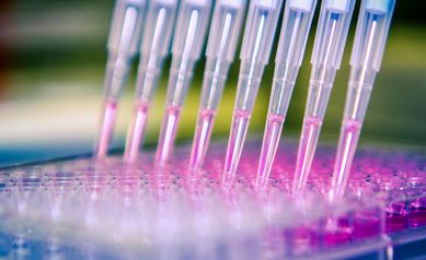 Deerfield and Empire Discovery Institute Partner to Advance Life Sciences R&D in Rochester, Buffalo