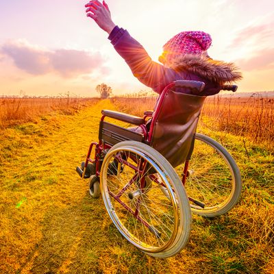 Book Provides Roadmap for Recovery from Brain and Spinal Cord Injury