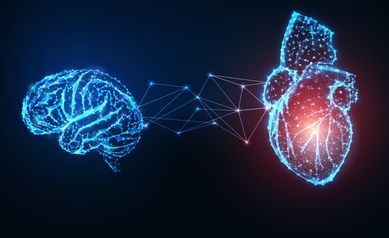 Futuristic glowing low polygonal connected human organs brain and heart on dark blue background.