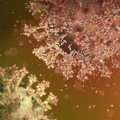 Virus variant, coronavirus, spike protein. Omicron. Covid-19 seen under the microscope