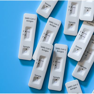 rapid tests