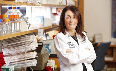 Ruth_O'Regan_lab_1