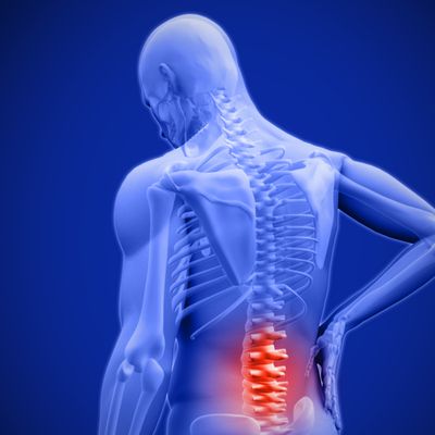 Markman Recognized for Contributions to Pain Research