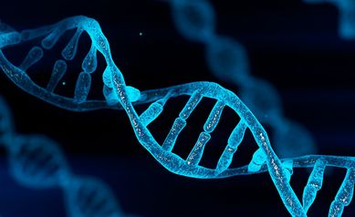 blue-dna-test
