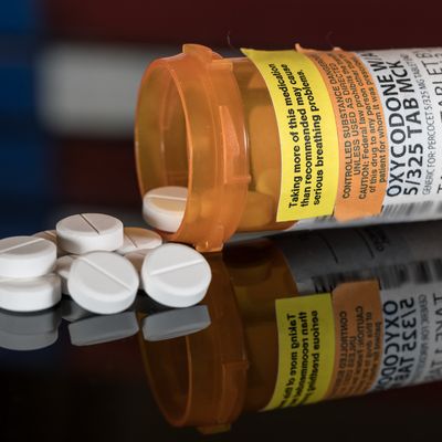 Macro of oxycodone opioid tablets