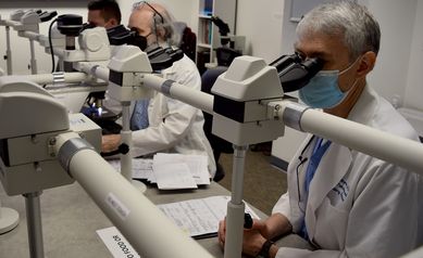 Meet the Detectives Behind the Diagnosis