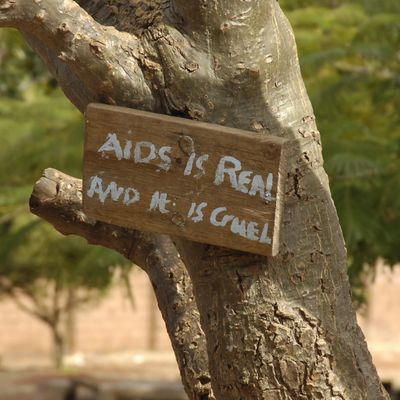HIV Zambia getty