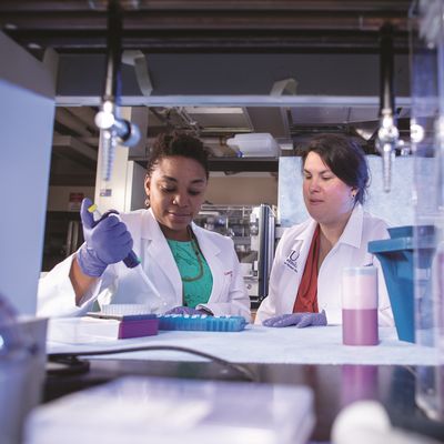 Aging Reimagined: Vital Discovery